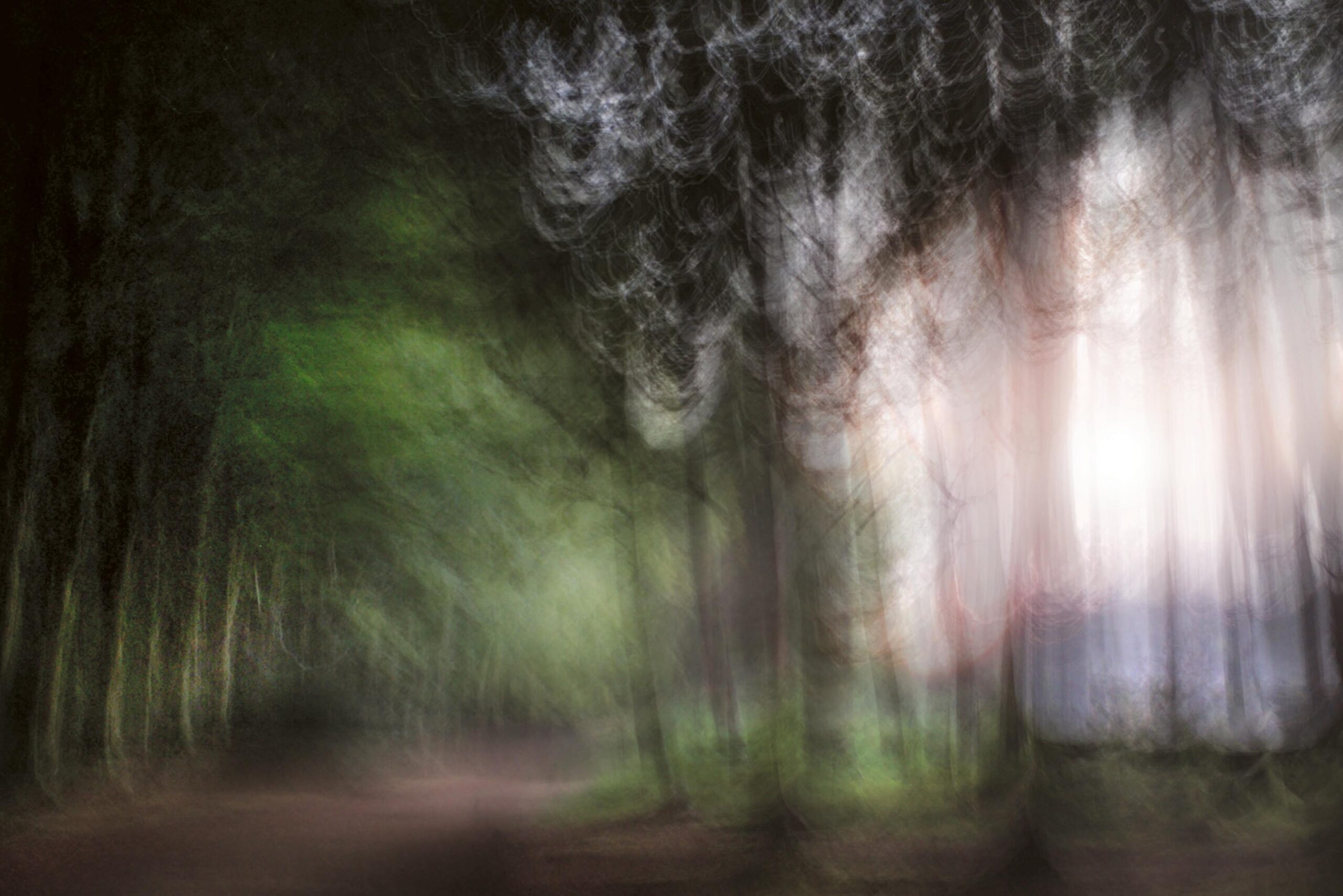 A walk by the clearing