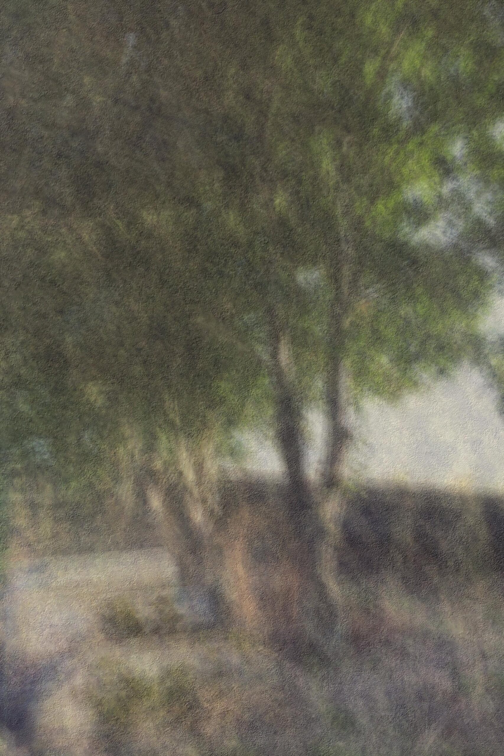 Cezanne’s churchyard