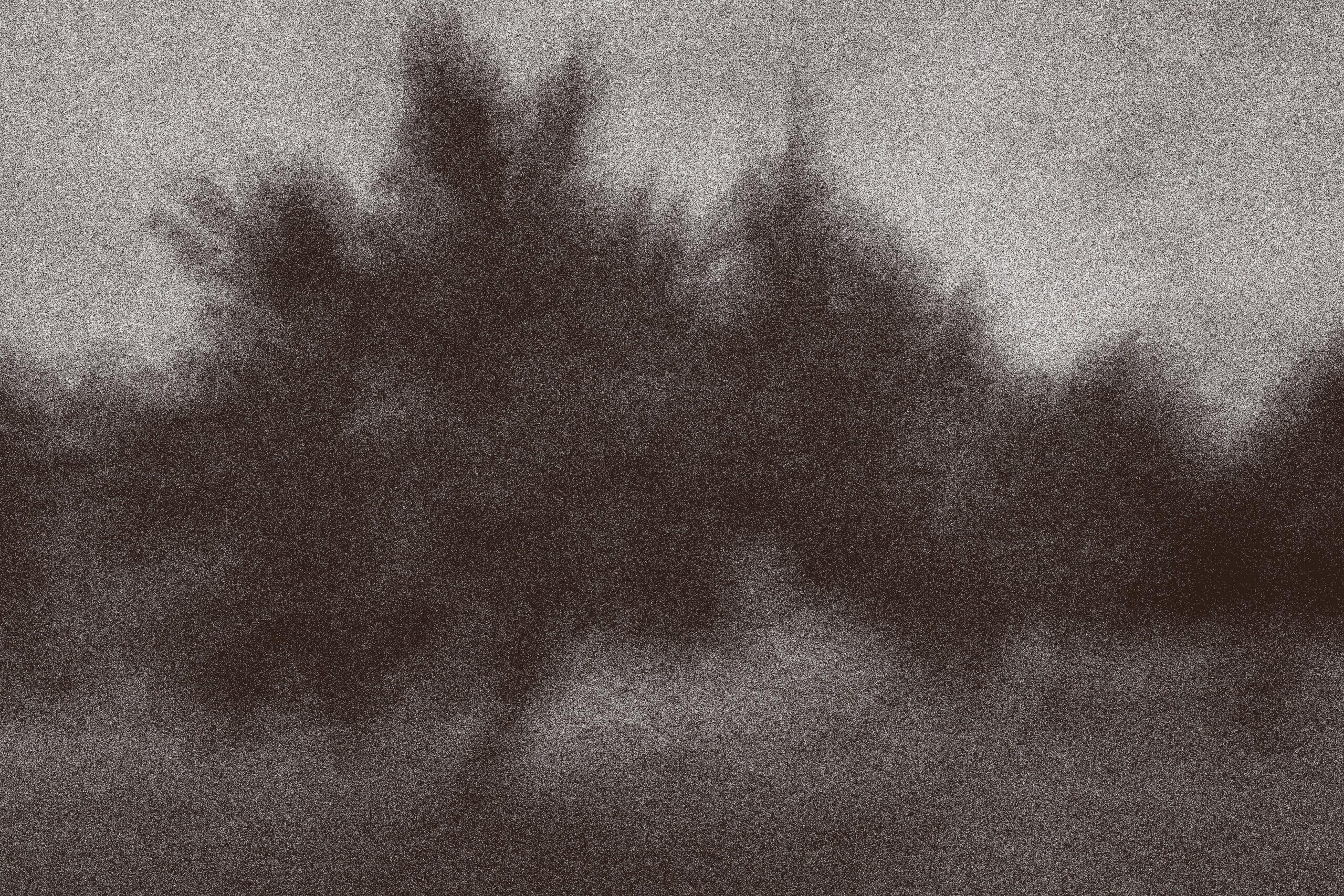 A grainy, black and white photograph showing the blurred, dark silhouettes of trees against a lighter sky